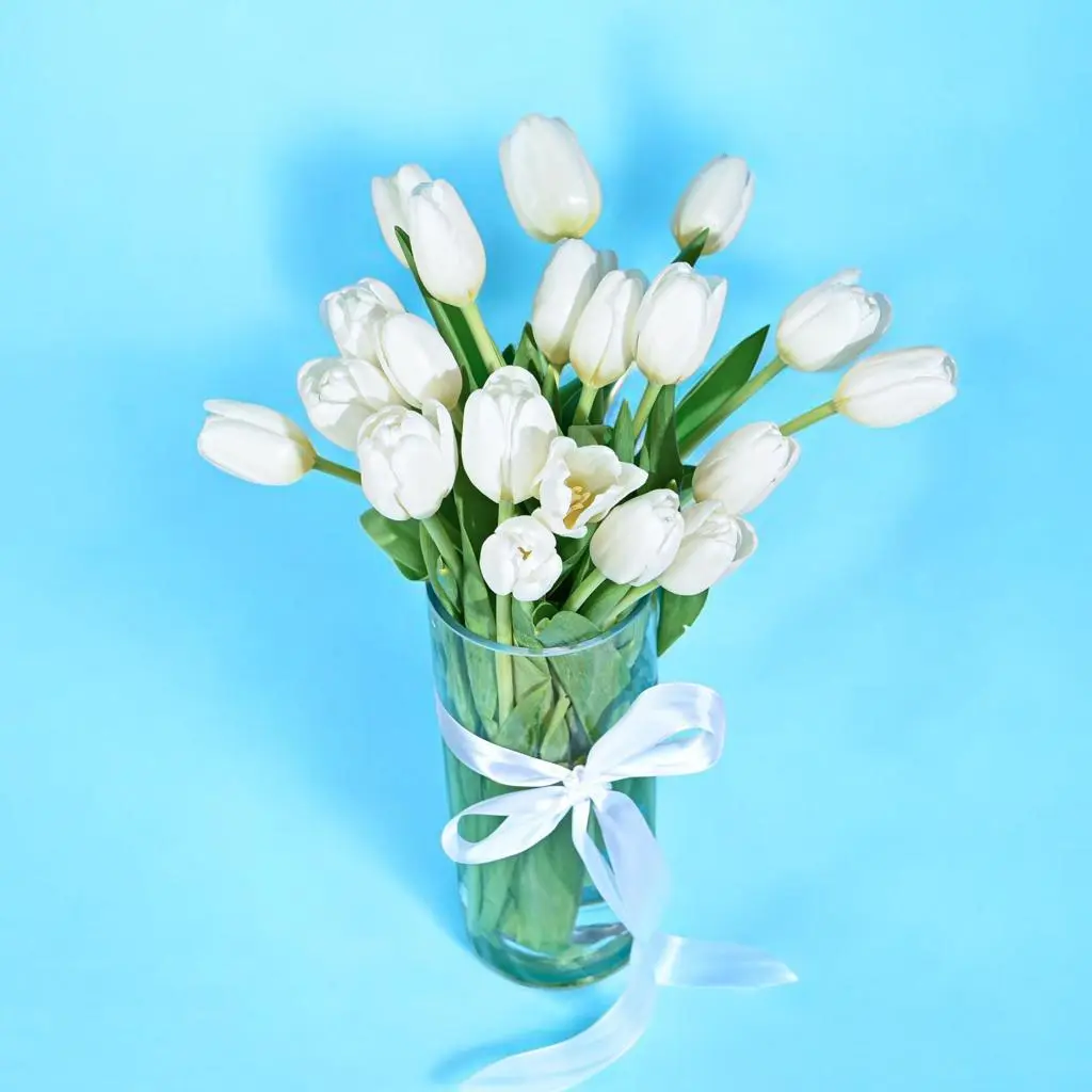 White Tulip Grace Vase 0007